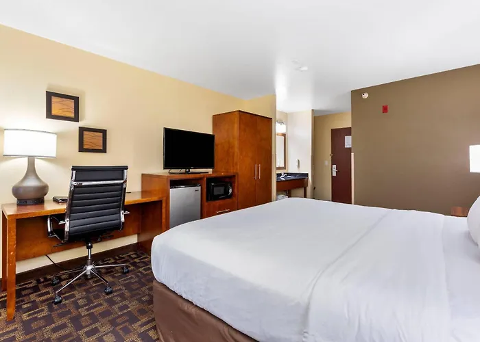 Comfort Inn & Suites North Aurora - Naperville